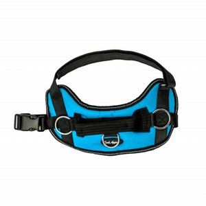 Bark Appeal Aqua Reflective No-Pull Dog Harness